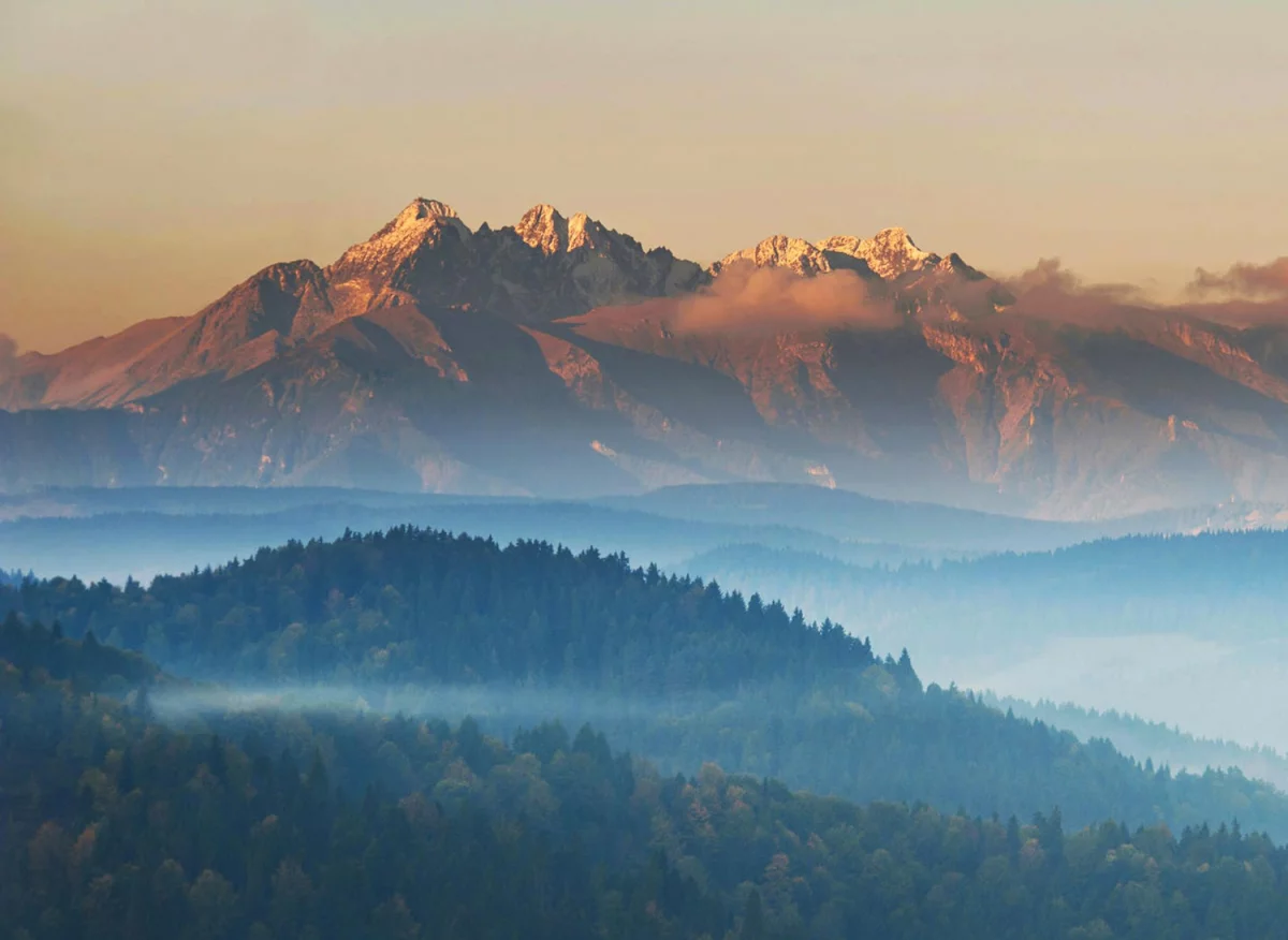 Podstawowe info na temat kuchni wegetarianskiej