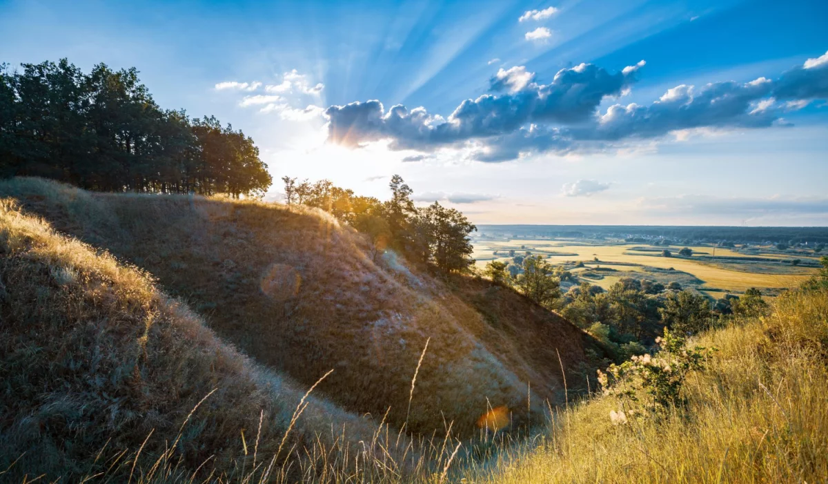 Czy w 2022 jeszcze warto  zrobić serwis chłodniczy?