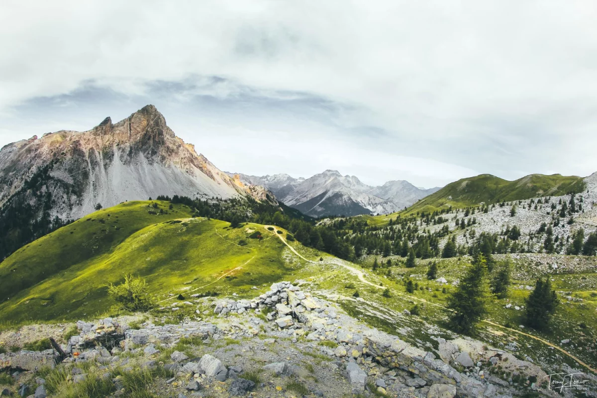 Czy można raportować do ESG w niedzielę nie handlową?